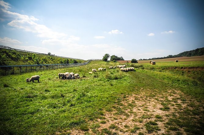 Wetter-Bild (Foto: Gernot Thelemann)