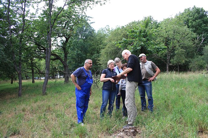 Wieso entbuschen? (Foto:  Nadine Peinelt, Naturstiftung David))