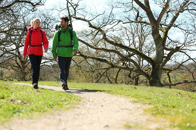 Auf den richtigen Schuh kommt es an (Foto: MC Kinley)