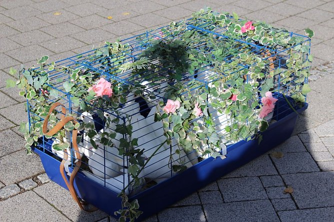 Abschluss mit ökumenischem Gottesdienst (Foto: Karl-Heinz Herrmann) Abschluss mit ökumenischem Gottesdienst (Foto: Karl-Heinz Herrmann)