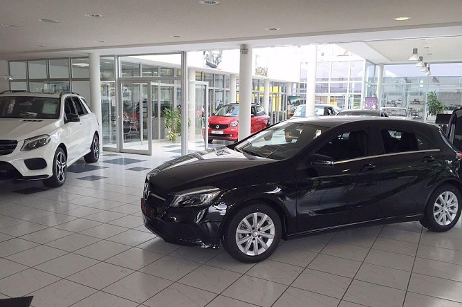 Der 269. Tag &uuml;berraschte mit vier Neuen (Foto: Heidrun Fischer)