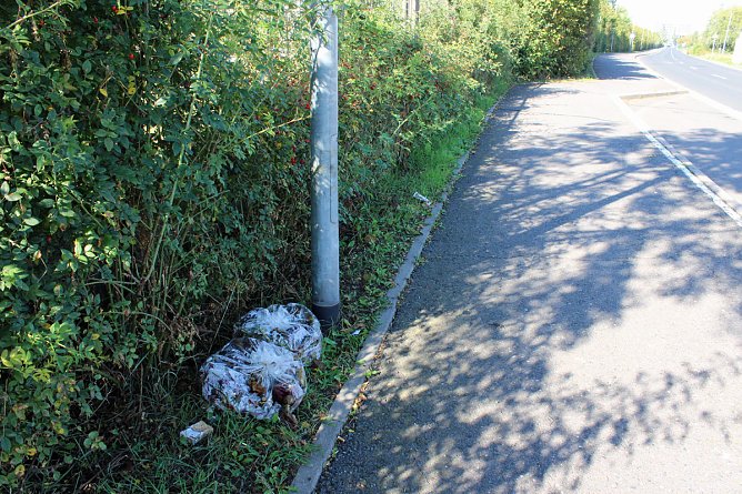 Erspart die Biotonne (Foto: Privat)