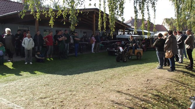 16. Mops-Rennen in Hachelbich (Foto: Thomas Leipold) 16. Mops-Rennen in Hachelbich (Foto: Thomas Leipold)