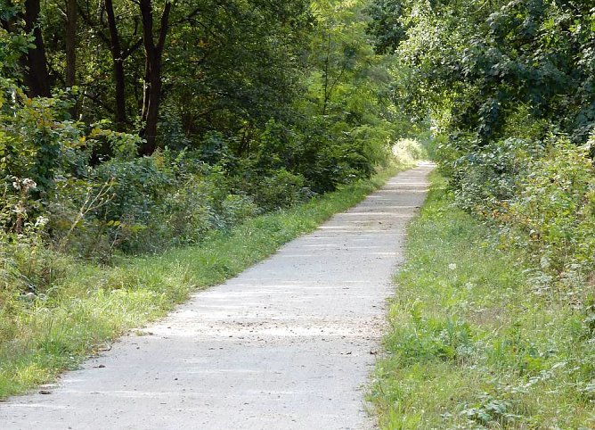 Ein Bahndammvergleich (Foto: Andreas Zeidler) Ein Bahndammvergleich (Foto: Andreas Zeidler)