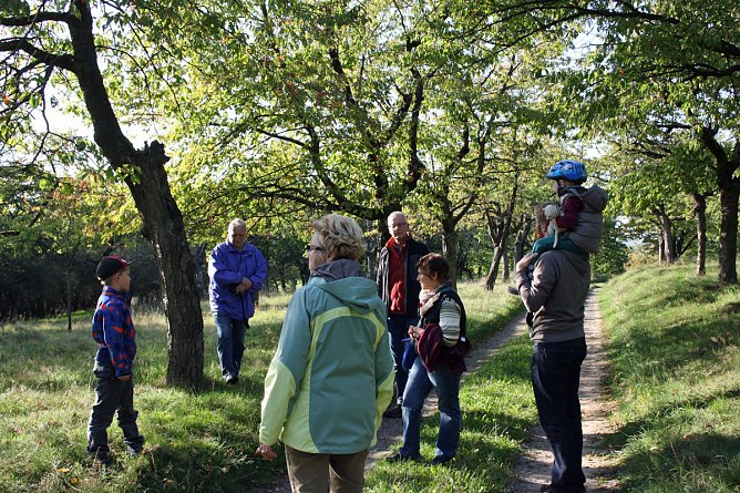 Wie sieht der Kirschberg nach der Entbuschung aus? (Foto: Nadine Peinelt Naturstiftung David) Wie sieht der Kirschberg nach der Entbuschung aus? (Foto: Nadine Peinelt Naturstiftung David)