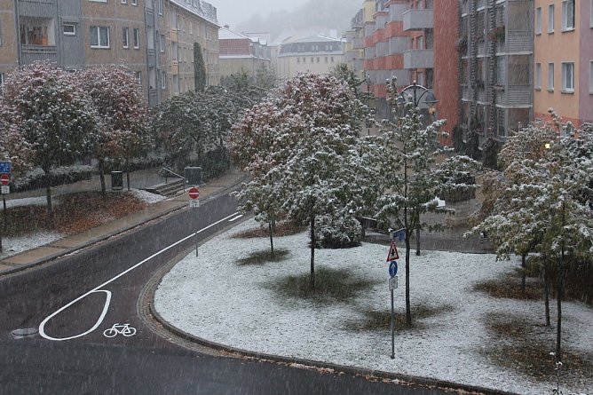 Wei&szlig;e &Uuml;berraschung (Foto: Karl-Heinz Herrmann)