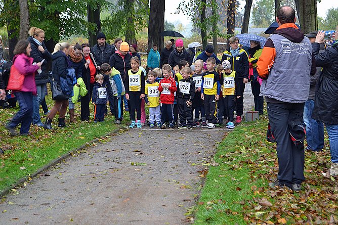 Impressionen vom 22. Stadtparklauf Sondershausen (Foto: F. Hajek/Karl-Heinz Herrmann)