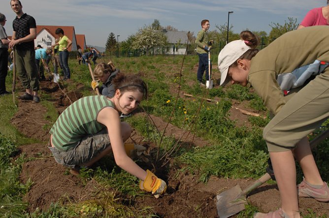 Tag des Waldes in Bad Frankenhausen (Foto: Uli Kl&uuml;&szlig;endorf)
