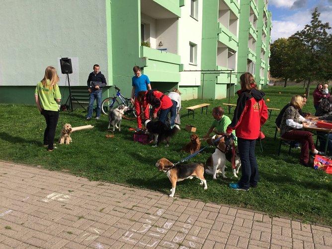 Stadtteilfest Am Tischplatt – Ein toller Erfolg (Foto: Privat) Stadtteilfest Am Tischplatt – Ein toller Erfolg (Foto: Privat)