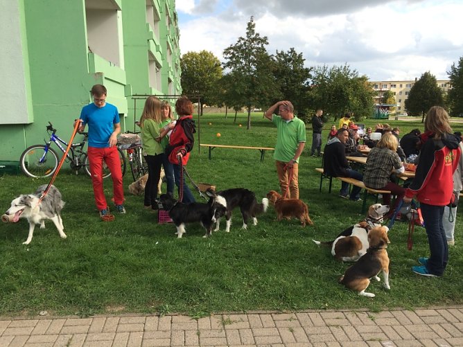 Stadtteilfest Am Tischplatt – Ein toller Erfolg (Foto: Privat) Stadtteilfest Am Tischplatt – Ein toller Erfolg (Foto: Privat)