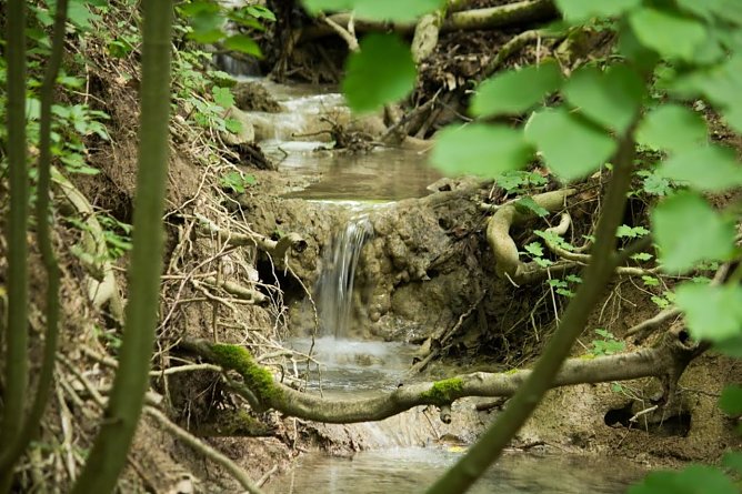 Wetterbild (Foto: Gernot Thelemann) Wetterbild (Foto: Gernot Thelemann)