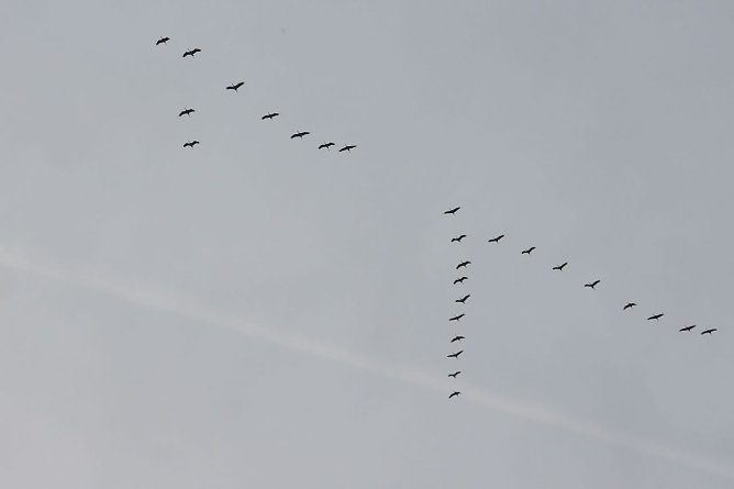 Wetterbild (Foto: Angelo Glashagel) Wetterbild (Foto: Angelo Glashagel)