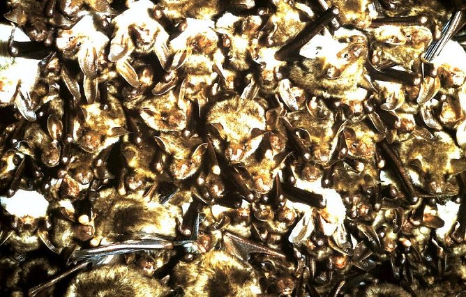 VdK (Foto: Wolf-Jürgen Träger) VdK (Foto: Wolf-Jürgen Träger)