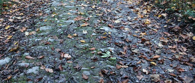 Radwanderer aufpassen! (Foto: Karl-Heinz Herrmann) Radwanderer aufpassen! (Foto: Karl-Heinz Herrmann)