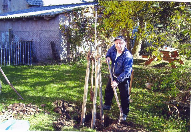 Selten gewordene Obstsorten gepflanzt (Foto: Hannlore Kutscha)