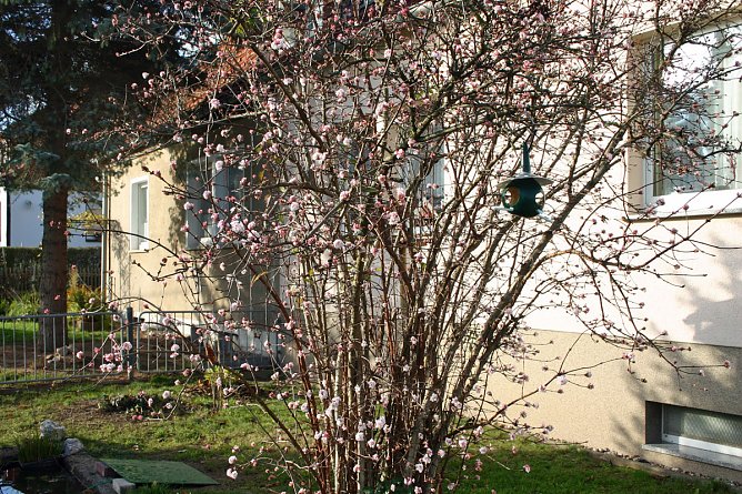 Frühling im November! (Foto: Jürgen Müller) Frühling im November! (Foto: Jürgen Müller)