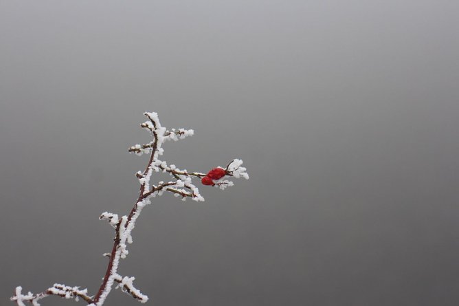 Wetterbild (Foto: Angelo Glashagel) Wetterbild (Foto: Angelo Glashagel)