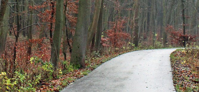 Verkehrssicherungspflicht mit Augenmaß? (Foto: Karl-Heinz Herrmann) Verkehrssicherungspflicht mit Augenmaß? (Foto: Karl-Heinz Herrmann)
