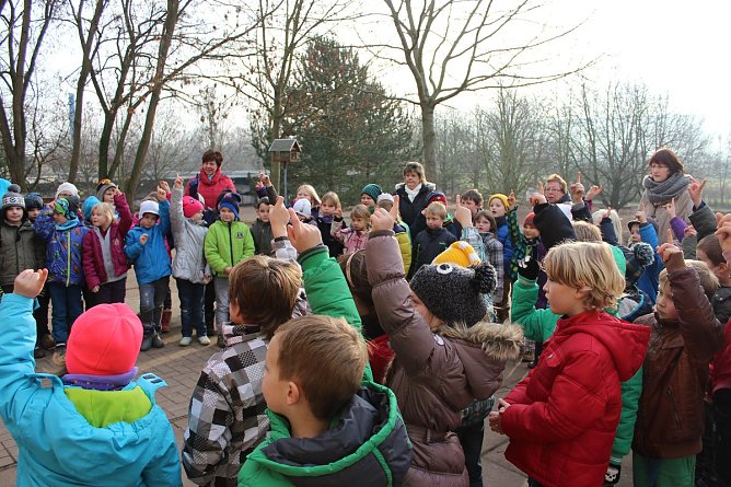 Sterne der Weihnacht (Foto: Karl-Heinz Herrmann)
