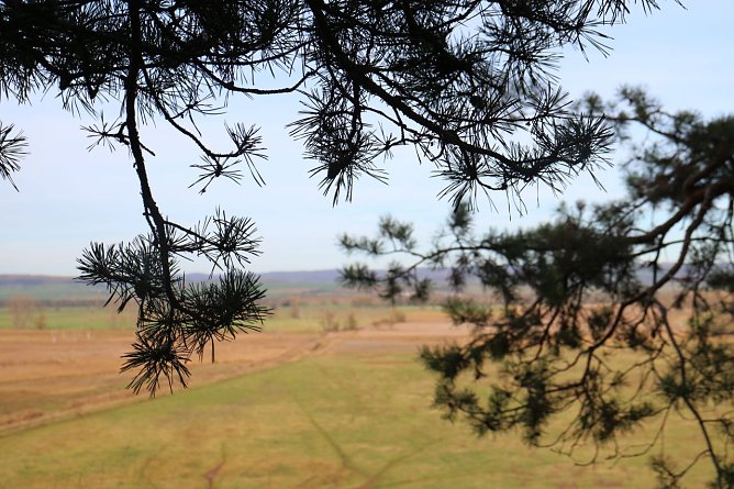 Wetterbild (Foto: Angelo Glashagel)