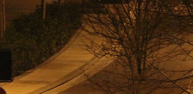 Schnee (Foto: Karl-Heinz Herrmann) Schnee (Foto: Karl-Heinz Herrmann)