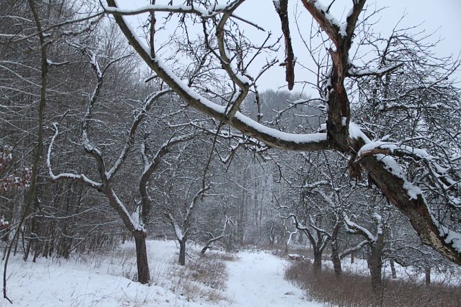 Wetterbild (Foto: Angelo Glashagel) Wetterbild (Foto: Angelo Glashagel)