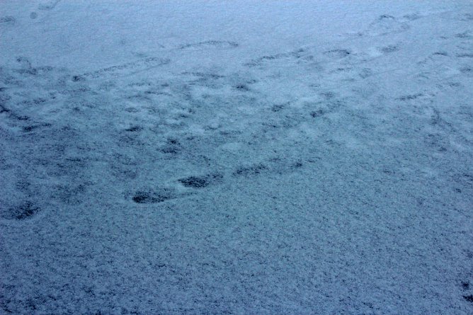 Gef&auml;hrlicher Leichtsinn auf Parkteich (Foto: Karl-Heinz Herrmann)