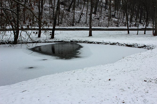 Gef&auml;hrlicher Leichtsinn auf Parkteich (Foto: Karl-Heinz Herrmann)