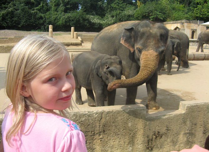Sommerferienangebot (Foto: Kreisjugendring) Sommerferienangebot (Foto: Kreisjugendring)