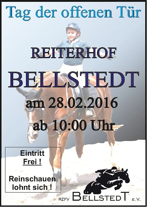 In einen Reitstall geschaut (Foto: Privat)