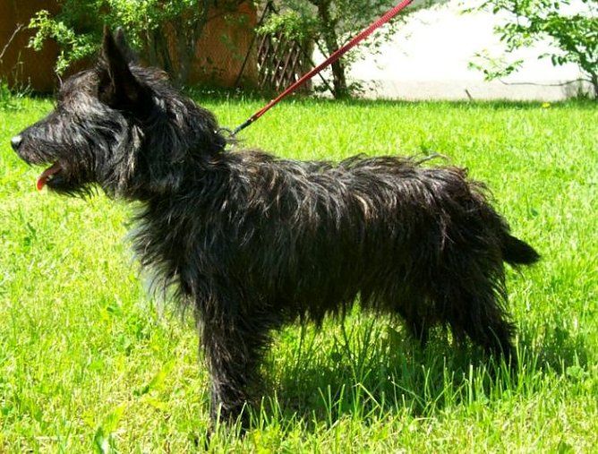 Carry (Foto: Knust) Carry (Foto: Knust)