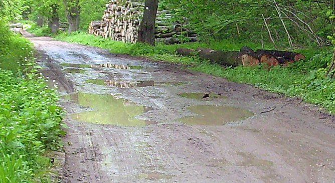 Hammatal wieder begehbar? (Foto: Karl-Heinz Herrmann) Hammatal wieder begehbar? (Foto: Karl-Heinz Herrmann)