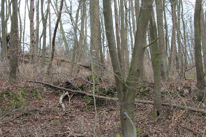 Hammatal wieder begehbar? (Foto: Karl-Heinz Herrmann) Hammatal wieder begehbar? (Foto: Karl-Heinz Herrmann)