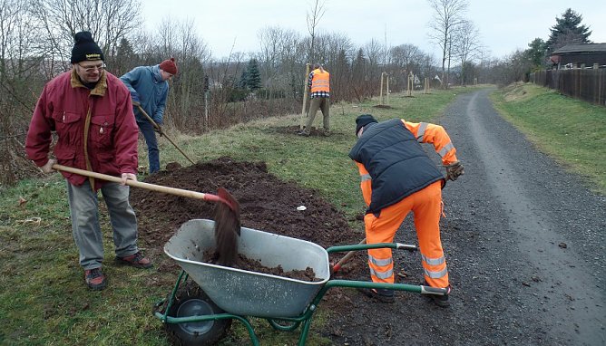 Linden für den alten Bahndamm (Foto: IG Unstrutbahn) Linden für den alten Bahndamm (Foto: IG Unstrutbahn)