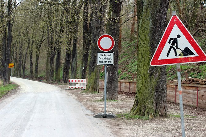 Waldwegebau im Hammatal von Sondershausen (Foto: Karl-Heinz Herrmann) Waldwegebau im Hammatal von Sondershausen (Foto: Karl-Heinz Herrmann)