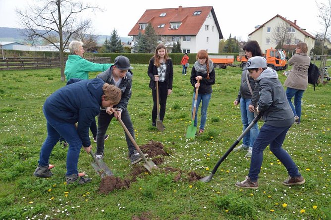 Der 6. Baum (Foto: ELKE ELBERN-GÖBEL) Der 6. Baum (Foto: ELKE ELBERN-GÖBEL)