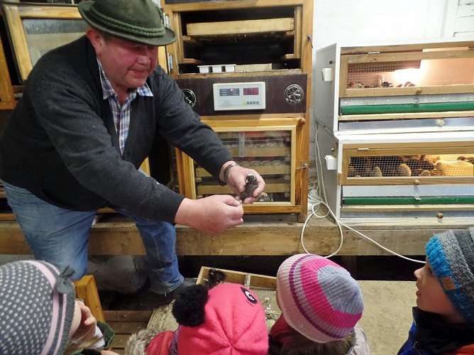 Besuch bei den K&uuml;ken (Foto: Privat)