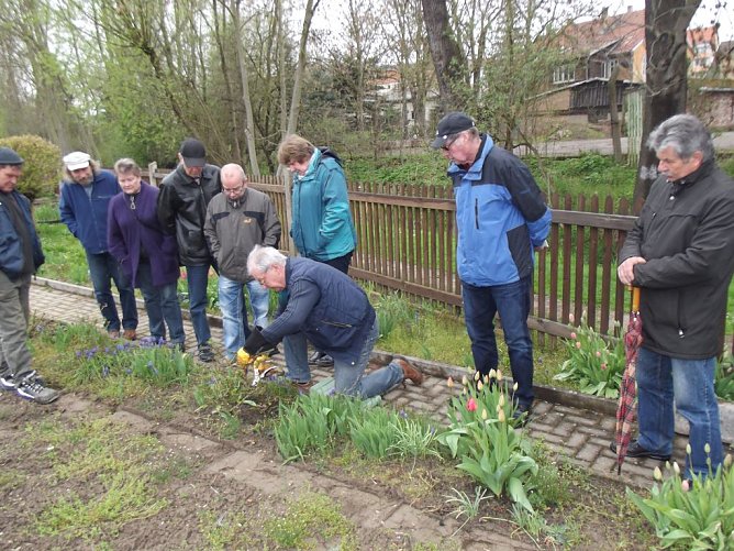 Interessante Rosenseminare mit Bernd Schlichting (Foto: Thomas Leipold) Interessante Rosenseminare mit Bernd Schlichting (Foto: Thomas Leipold)