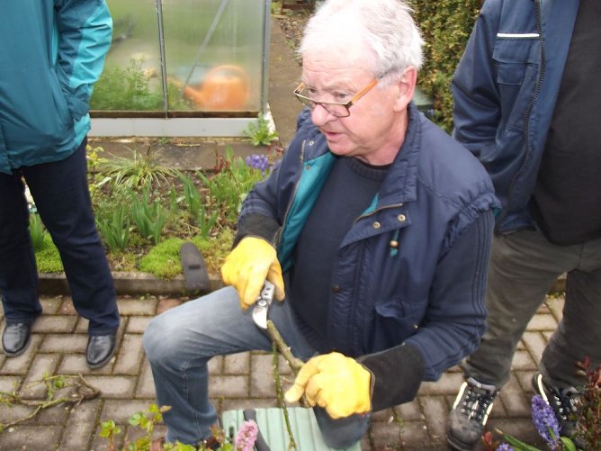 Interessante Rosenseminare mit Bernd Schlichting (Foto: Thomas Leipold) Interessante Rosenseminare mit Bernd Schlichting (Foto: Thomas Leipold)