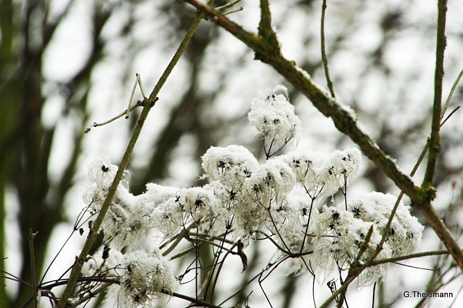 Wetter-Bild (Foto: Gernot Thelemann)
