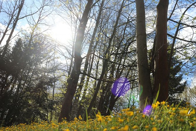 Wetterbild (Foto: Angelo Glashagel)