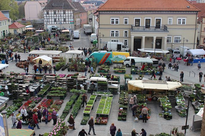 Pflanzenmarkt gut besucht (Foto: Karl-Heinz Herrmann)