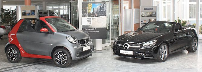 Peter-Flotte vor dem Schwan (Foto: Heidrun Fischer)