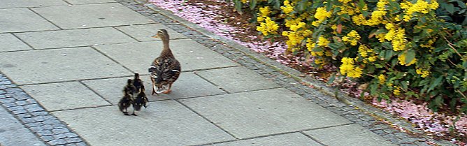 Abflug gemacht (Foto: Karl-Heinz Herrmann)