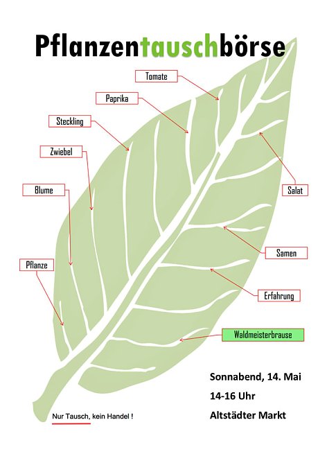 Pflanzentauschb&ouml;rse am Altst&auml;dter Markt (Foto: Andreas Zeidler)