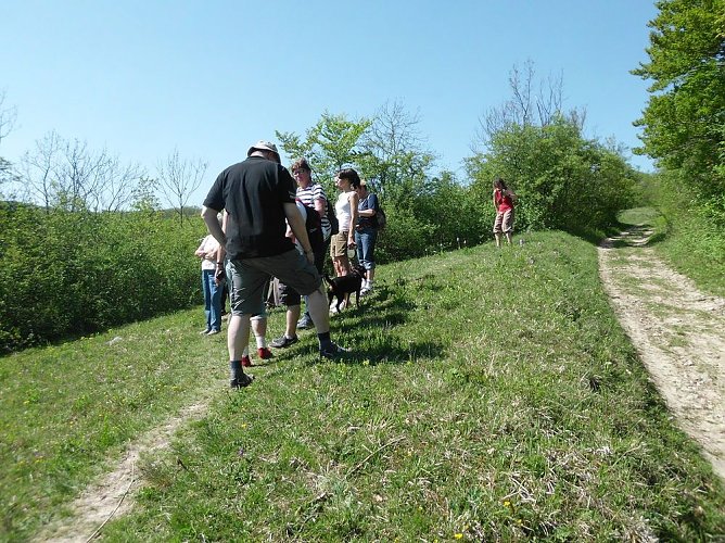 Fr&uuml;hlingswanderung durch das Wippertal bei G&uuml;nserode (Foto: Karin Thiele)