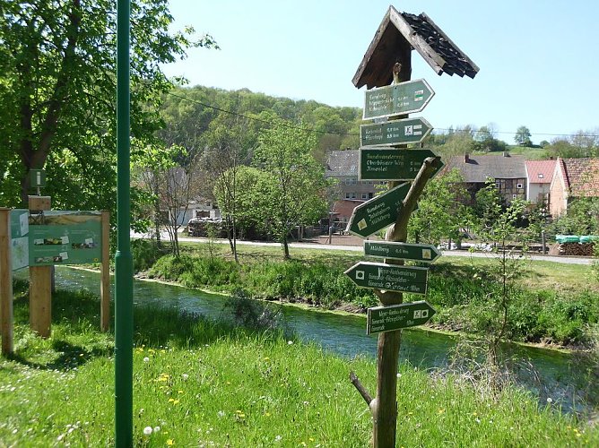 Fr&uuml;hlingswanderung durch das Wippertal bei G&uuml;nserode (Foto: Karin Thiele)