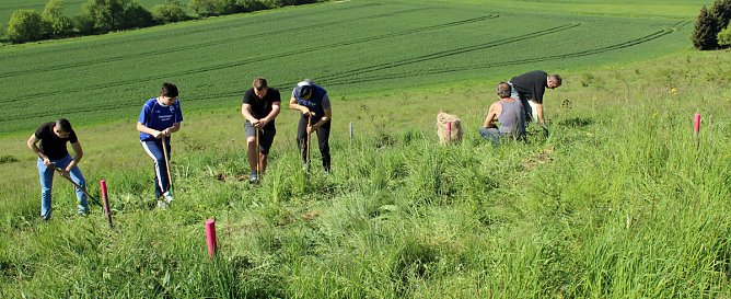Studien zur Erhaltung der Natur (Foto: Karl-Heinz Herrmann)