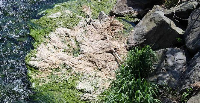 Probleme mit der Wipper? (Foto: Karl-Heinz Herrmann)