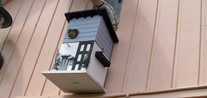 Auch das Luxus Apartment ist nun mit Meisen belegt (Foto: Thomas Leipold) Auch das Luxus Apartment ist nun mit Meisen belegt (Foto: Thomas Leipold)